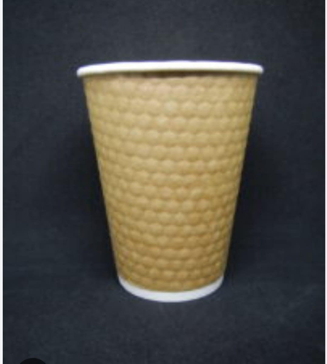 WhatsApp Image 2026-02-20 at 7.44.45 PM